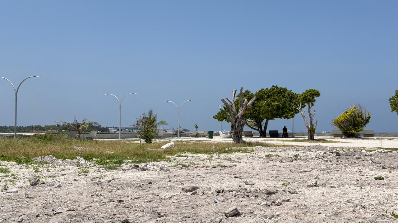 ދެކޮނު ކުޅި ތަރައްޤީ ކުރުމުގެ މަޝްރޫޢު